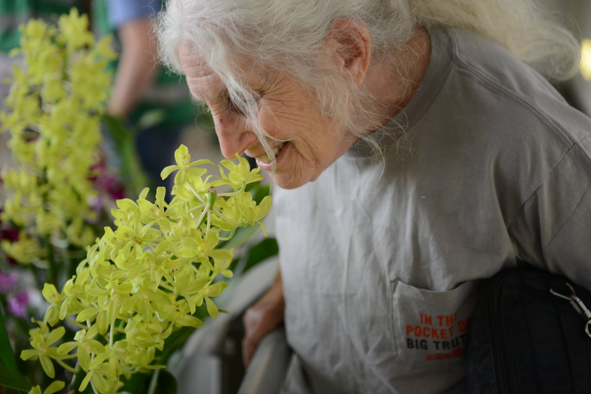 Queens Botanical Garden tweet media