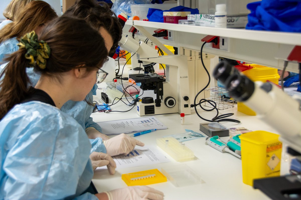 El #ISCIII financia multitud de proyectos científicos cada año. Compartimos 3 ejemplos:

🔬 Seed-ALS: investigación en ELA ➡️ isciii.es/w/estudio-seed…

🔬 Cov-Racap: COVID persistente ➡️ isciii.es/w/estudio-cov-…

🔬 Estudio leucemia linfoblástica aguda ➡️ isciii.es/w/estudio-pedi…