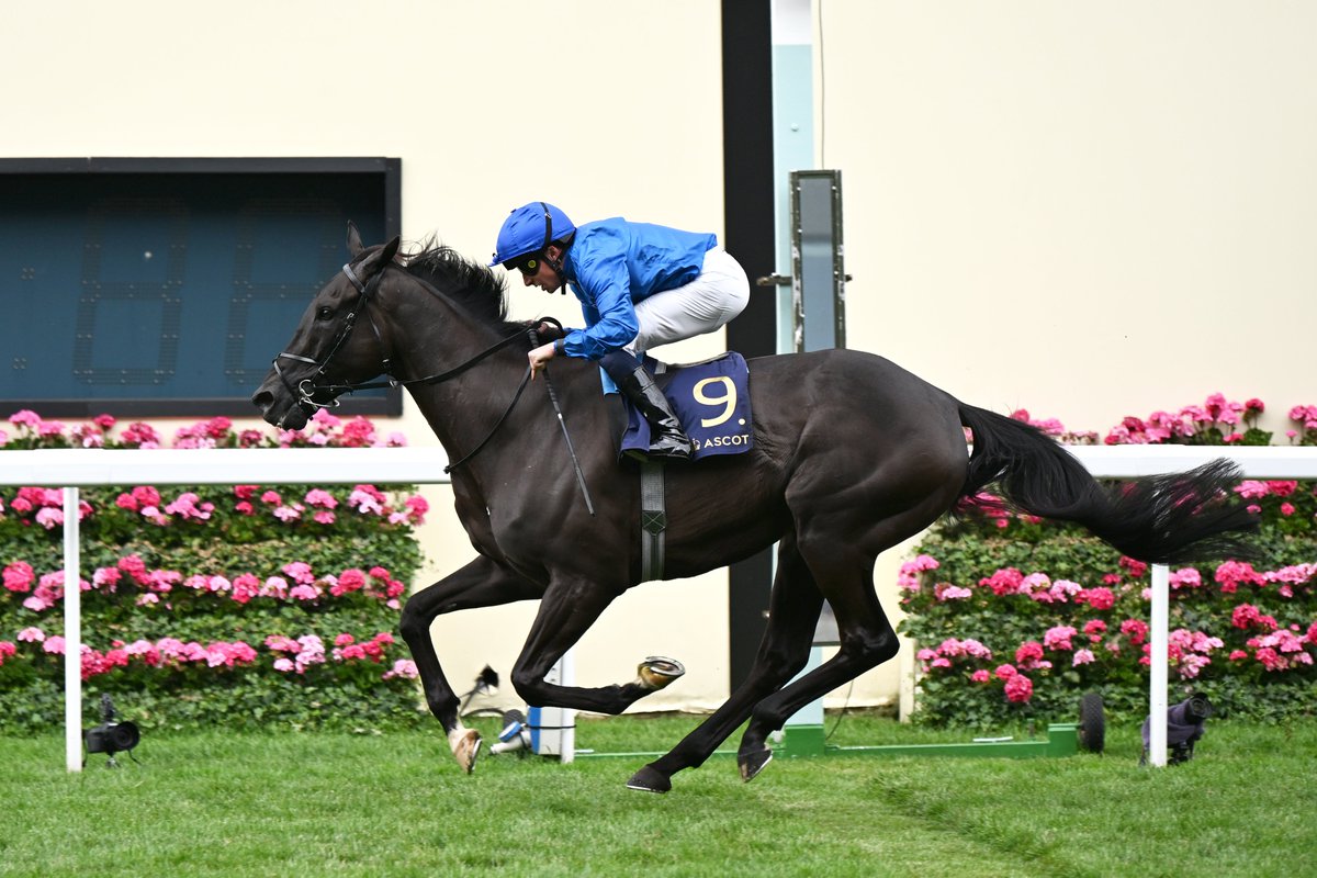 Rebel's Romance 💙

🏇28 Races
🥇19 Wins
🏆8 Group 1s
💰11m Prize Money

Legend.
