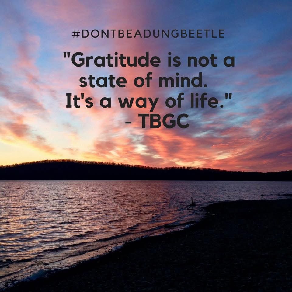Gratitude is a way of life.