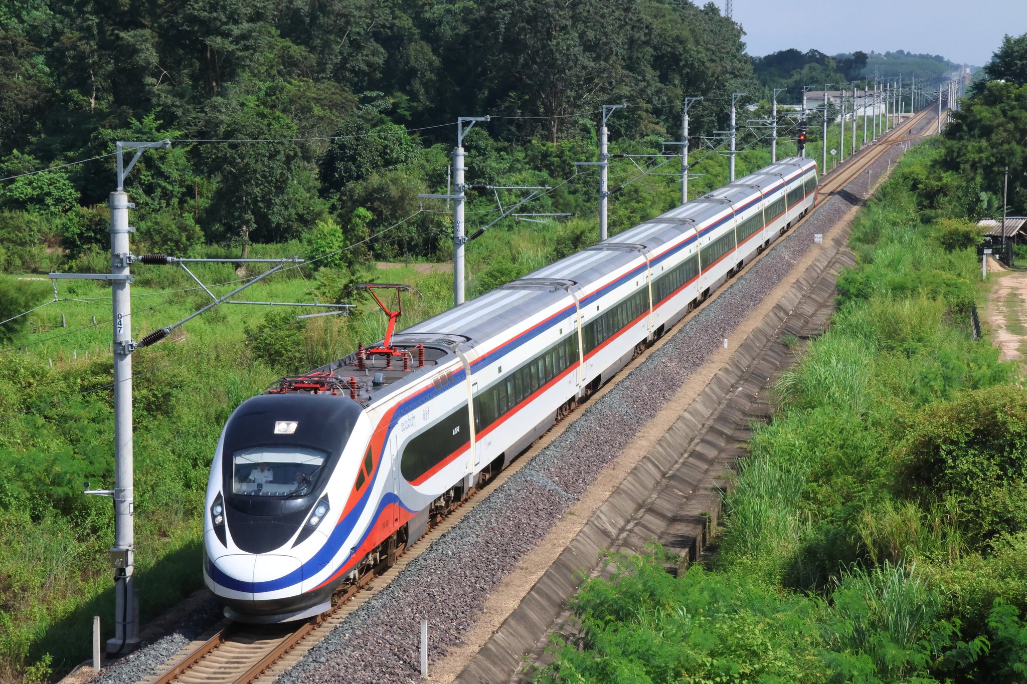 新正 ヒノトリ コスモス 2025SS VINTAGE NEW ARRIVAL】 ・art print T