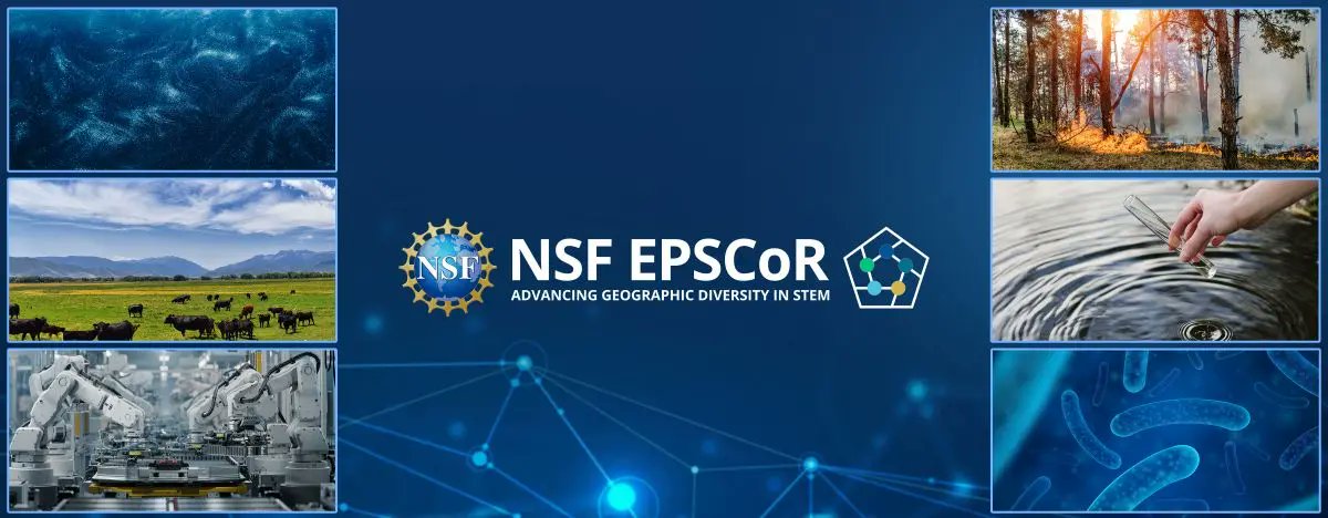 Nebraska EPSCoR (@nebraskaepscor) on Twitter photo Congratulations to #NebEQUATE team members: among the new <a href="/NSF/">U.S. National Science Foundation</a> EPSCoR FEC collaborations projects just announced!
Harnessing artificial magnetic semiconductors in the flatland will unite experts in physics, chemistry, #materialsscience and engineering ... epscor.nebraska.edu/media/news-and… Congratulations to #NebEQUATE team members: among the new <a href="/NSF/">U.S. National Science Foundation</a> EPSCoR FEC collaborations projects just announced!
Harnessing artificial magnetic semiconductors in the flatland will unite experts in physics, chemistry, #materialsscience and engineering ... epscor.nebraska.edu/media/news-and…