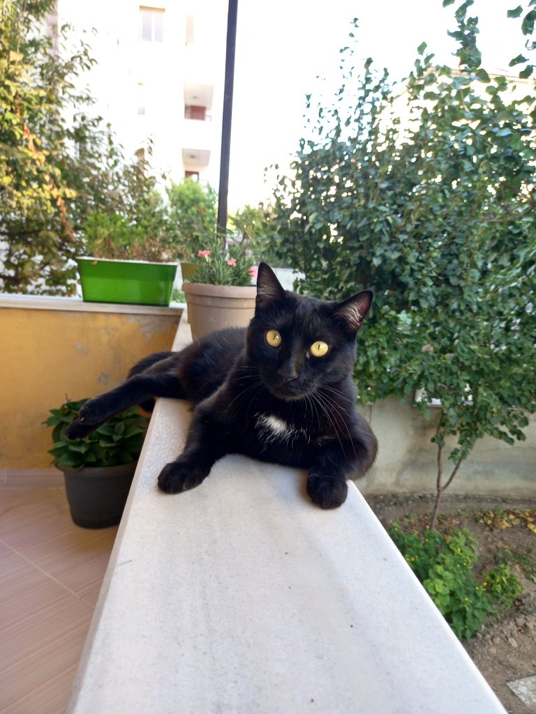 Balkon keyfi annecim