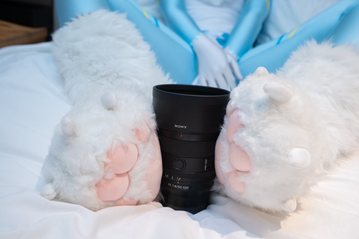 拍的这么好看，奖励一下你的镜头