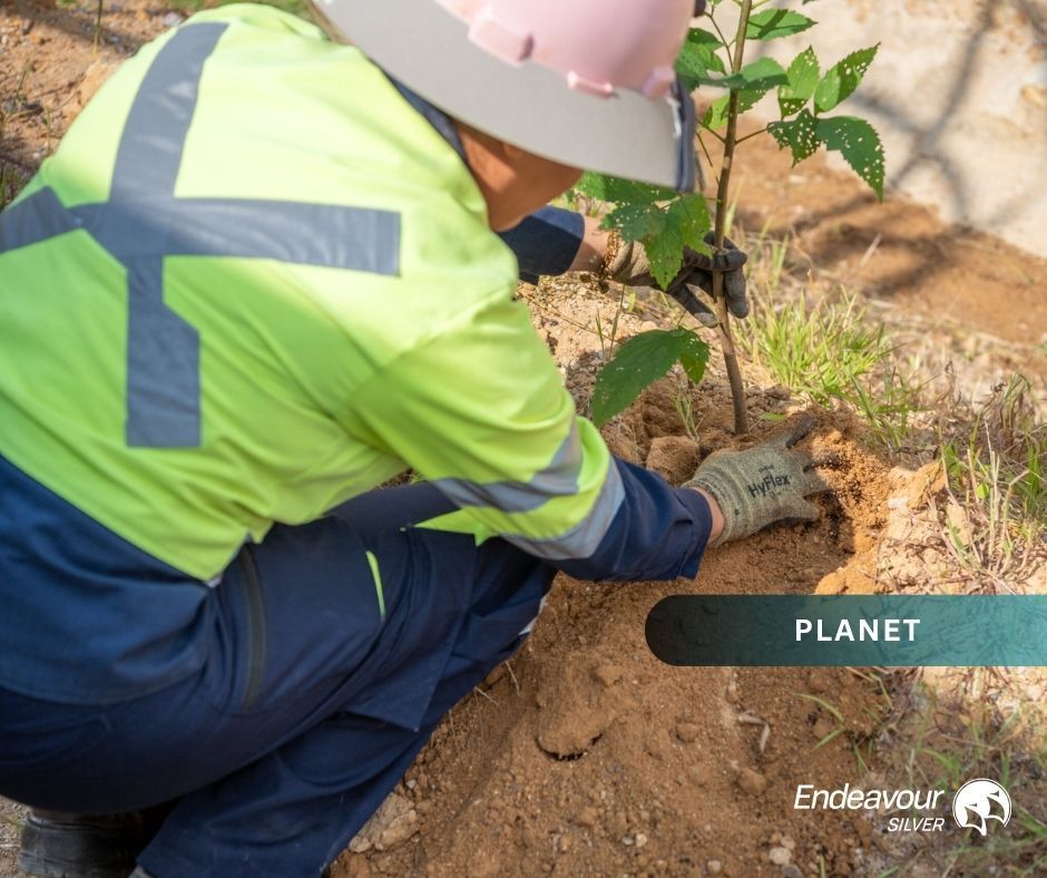 EDRSilverCorp's tweet image. On #WorldEnvironmentDay, Terronera joined global efforts with local clean-ups, tree planting &amp;amp; education in Jalisco 

As we advance the Terronera Project, sustainability and community remain core to how we operate. #ESG