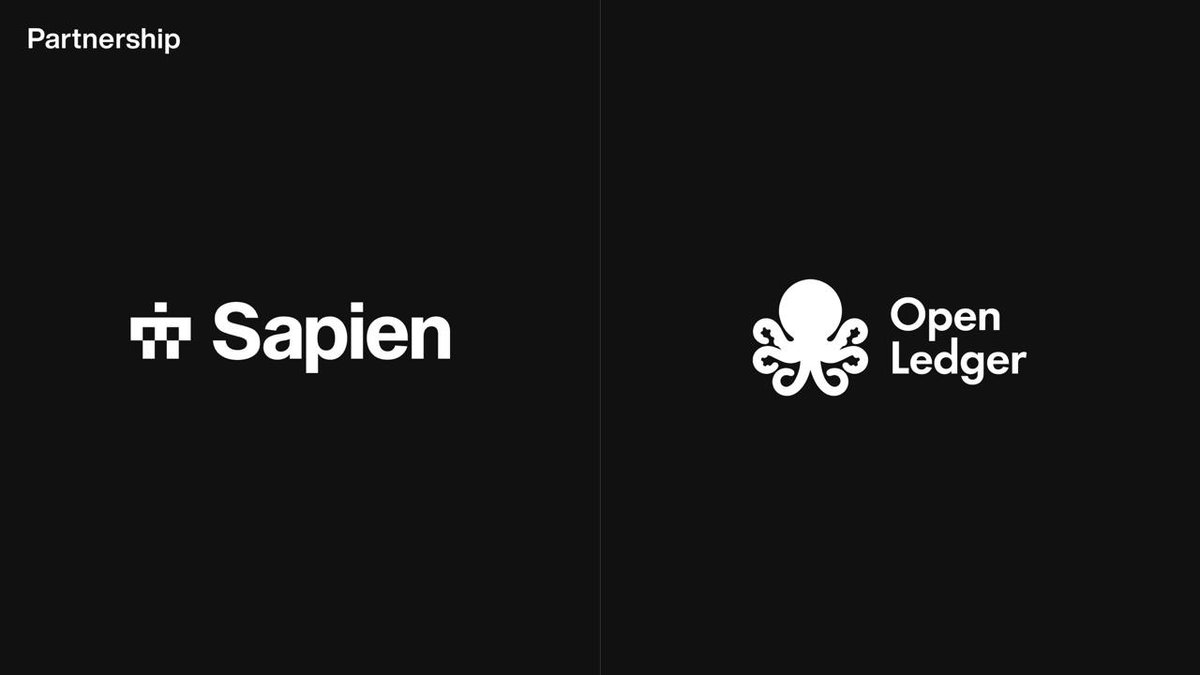 BuildOnSapien's tweet photo. Sapien x OpenLedger = ๐ https://t.co/AS2v8eihwU
