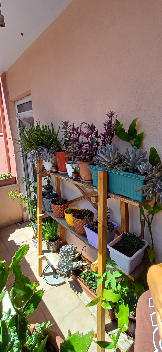 Çiçeklerimi gördüğünüz tüm haliyle satıyorum ister tek tek ister hepsini alabilirsiniz çiçekliği ile birilkte satacağım kendi imalatım su geçirmez ıslanmaz dayanıklıdır 5.000 tl istanbul içi elden teslim