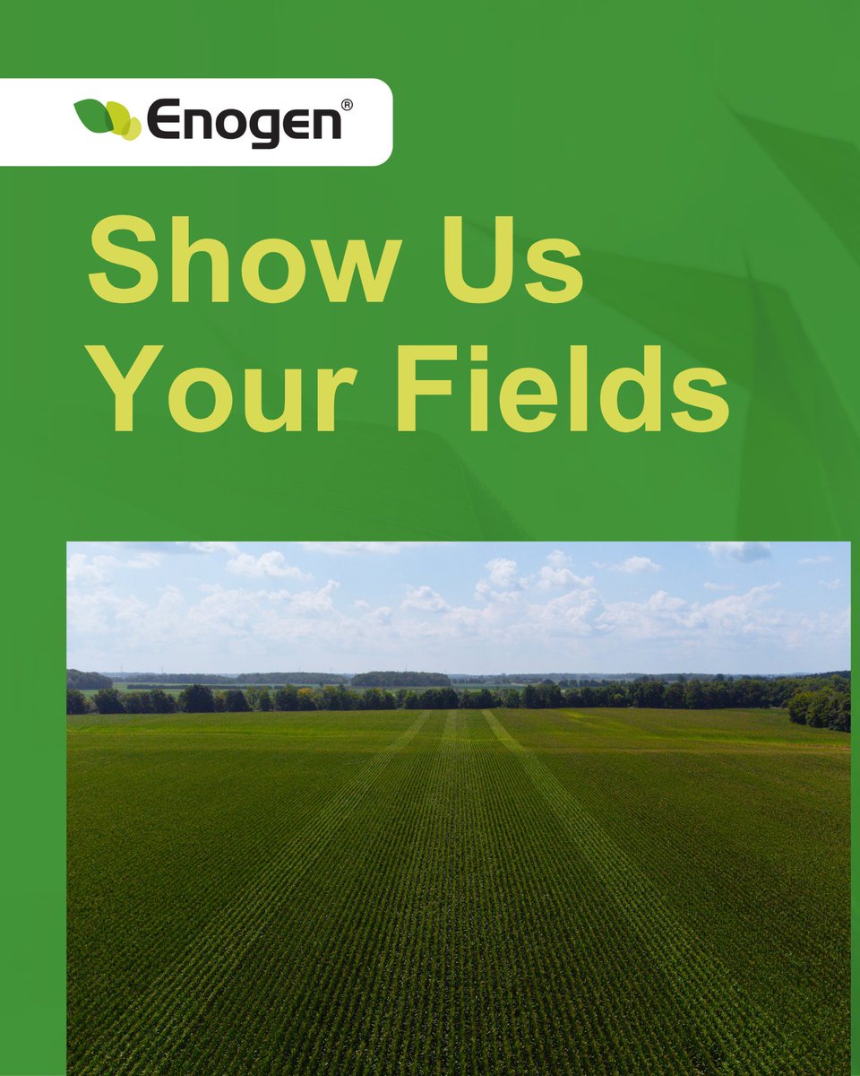 How are your fields looking? 🌽 Comment with a pic and we may share it on our socials! #CdnAg