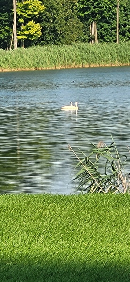 Had the great fortune to be able to get up to Blainville and to play Fontainebleau and spend the weekend with my old buddy <a href="/J62P61M/">JeepJam</a>. Thanks so much, Jeep! Here are some shots from the course. Don't hit it off the fairway though.