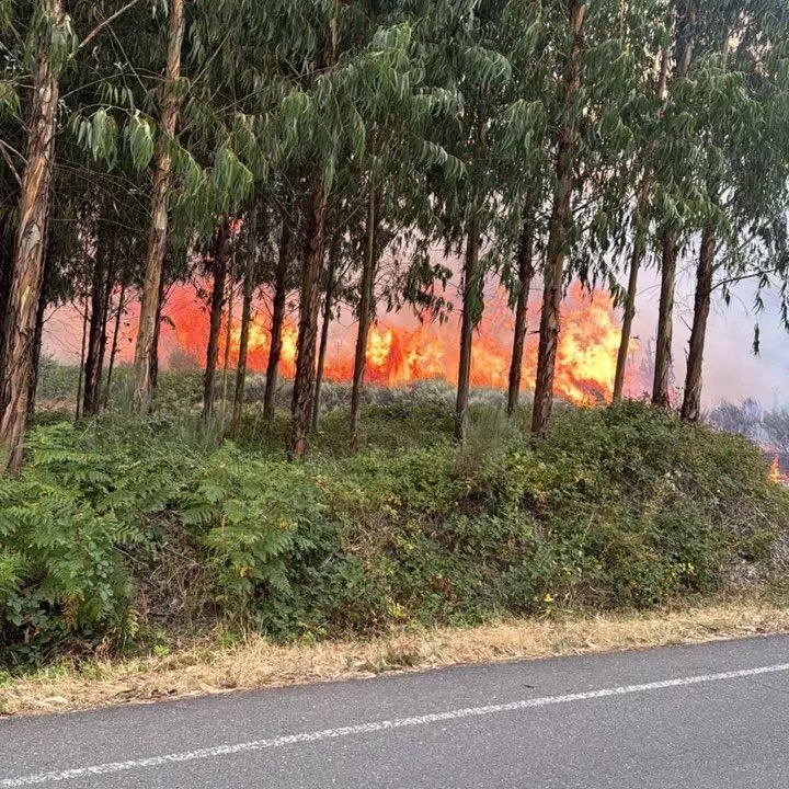 Una comarca olvidada y un patrimonio natural e histórico destruido. La causa y la consecuencia de la negligencia y el abandono de una tierra maltratada. Cualquier palabra es poco. Arden Las Medulas, llora El Bierzo y llora León. #lasmedulas #ElBierzo #LeonEsp #IFYeres