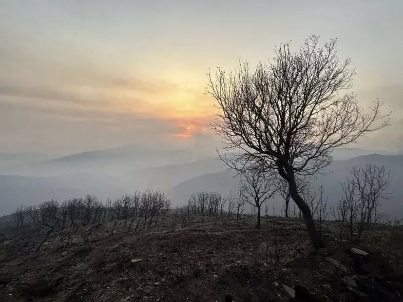 raauulrgz's tweet photo. Una comarca olvidada y un patrimonio natural e histórico destruido. La causa y la consecuencia de la negligencia y el abandono de una tierra maltratada. Cualquier palabra es poco. Arden Las Medulas, llora El Bierzo y llora León. #lasmedulas #ElBierzo #LeonEsp #IFYeres https://t.co/ailxntvDxc
