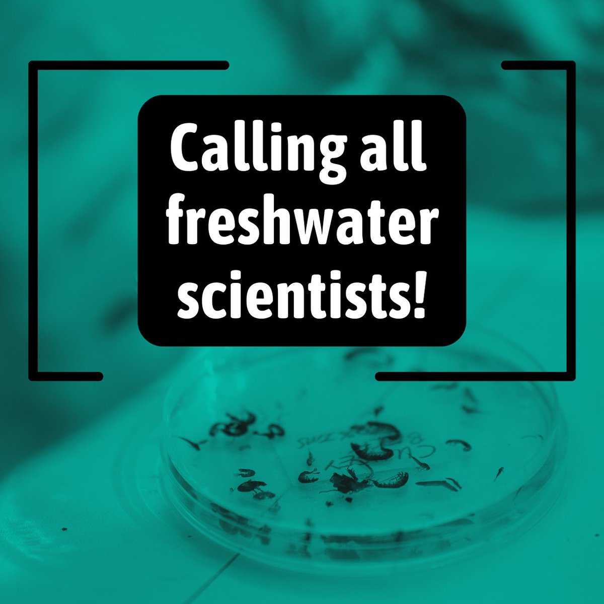 freshwaterbio's tweet photo. Calling all scientists, researchers & academics... #freshwaters urgently need your support!
Ahead of the final negotiations to agree new #waterpollution standards on 23 Sept 2025 the deadline for signatures is now extended to 9 Sept.
Please sign & share!
https://t.co/MQ2u8e9p0m https://t.co/ZXDVOcn0jI