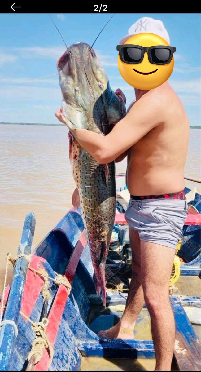 d0omgeneration's tweet photo. grindr en corrientes es otra cosa https://t.co/z3fq4OhlX2