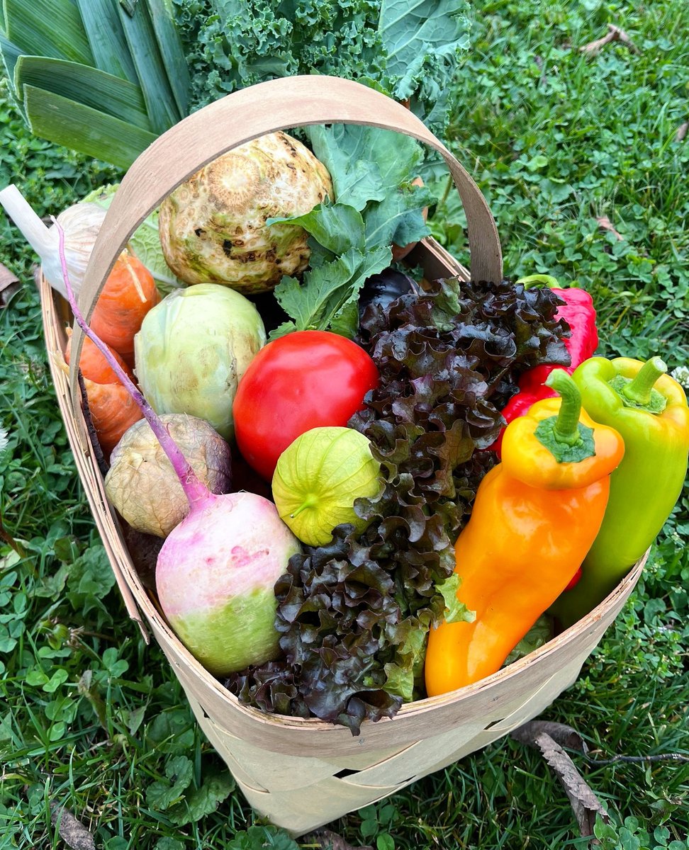 Meet Our Member: Verrill Farm
⁠
This family-owned farm in Concord, MA has been growing fresh, local produce and baking from-scratch goods since 1918. 

Learn more: verrillfarm.com