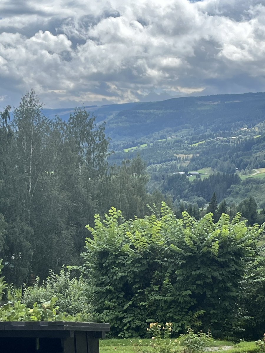 ⁦<a href="/earth/">Earth</a>⁩🍀as requested🍀just a picture🍀