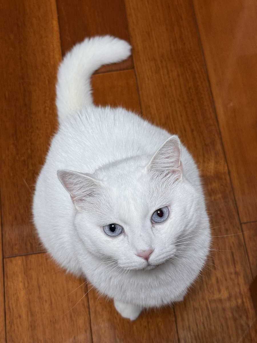 卷老师为人师表 tweet media