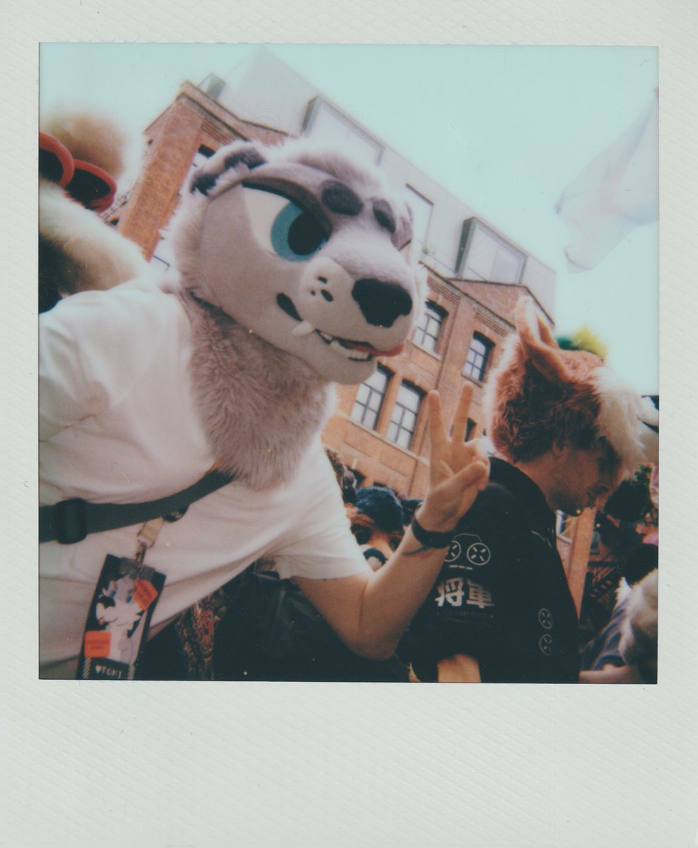 🐶📸🐶📸🐶📸
dog photos from MancFurs now up! go snoop at the creatures
connorshibe.gay/photos/2025/ma…