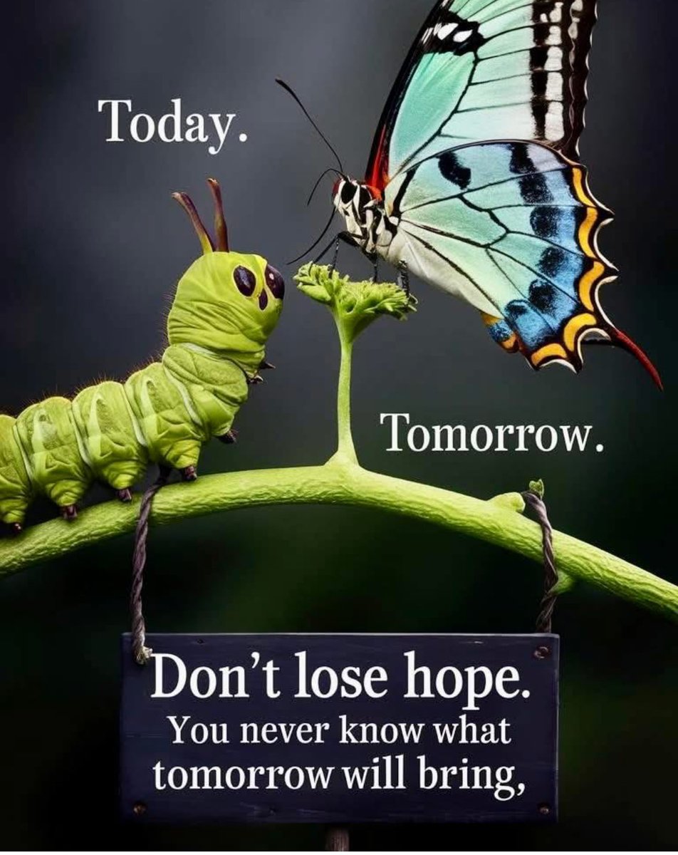 KarenGAlexander's tweet image. Revising my #picturebook manuscript is exciting! I know this story will get me representation whenever I #query. No one can break my spirit. 🙏🏽❤️🙌🏽✍🏽☕️🙌🏽❤️
#WritingCommunity
#kidlit
#amwriting