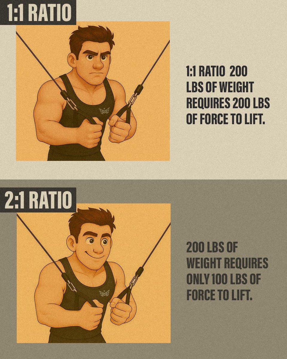 MajorLutie's tweet image. We heard many people have been confusing about the 1:1 and 2:1 cable ratio system of power racks. What's the differences between cable ratio 1:1 &amp;amp; 2:1? Let's find it out with Major Fitness! #MajorFitness #cableratio #smithmachine #powerrack