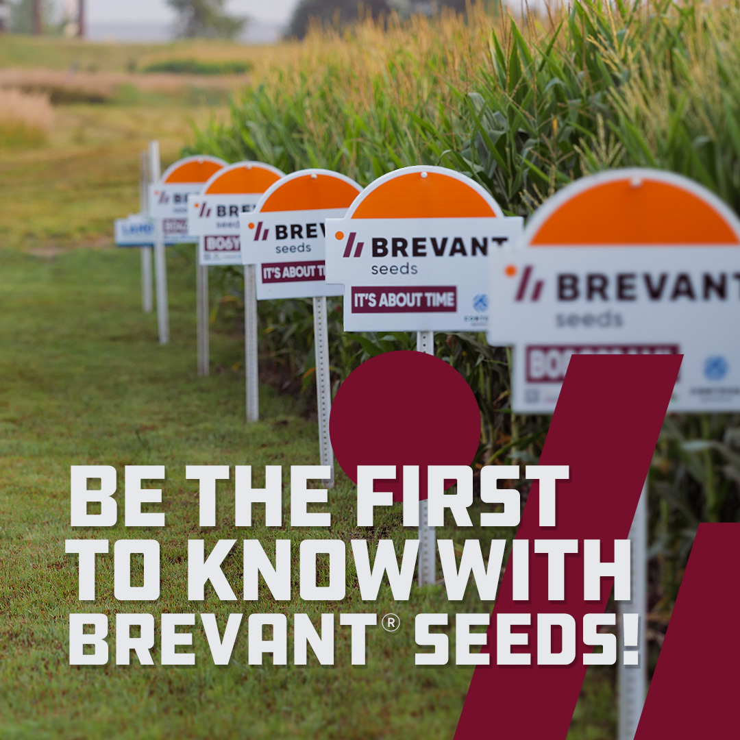 BrevantseedsUS's tweet image. 📬 Your inbox called...it wants:
✔️ Yield results
✔️ New products
✔️ Local insights

Sign up for Brevant® seeds updates now! Click Here: bit.ly/4mkjptg
#SignUpToday #BrevantFirstToKnow