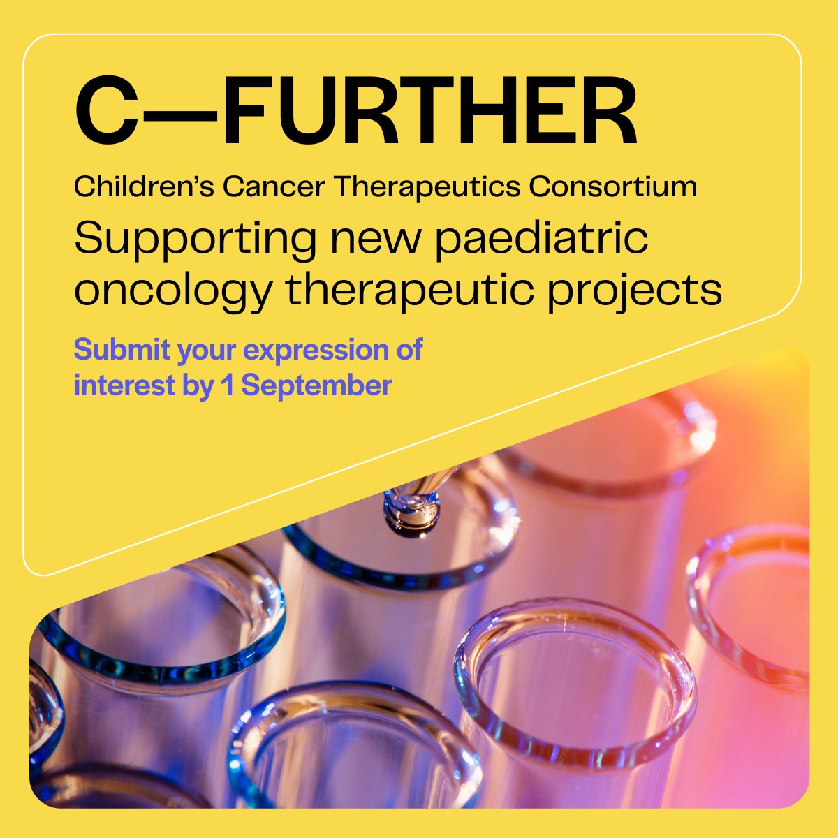 If you're working on a therapeutic or target validation project for childhood cancer and want to progress your work, submit an expression of interest to C-Further, an international consortium we launched with <a href="/CR_Horizons/">Cancer Research Horizons</a>.

Deadline: 1 September
Apply now: t.ly/FPAAG