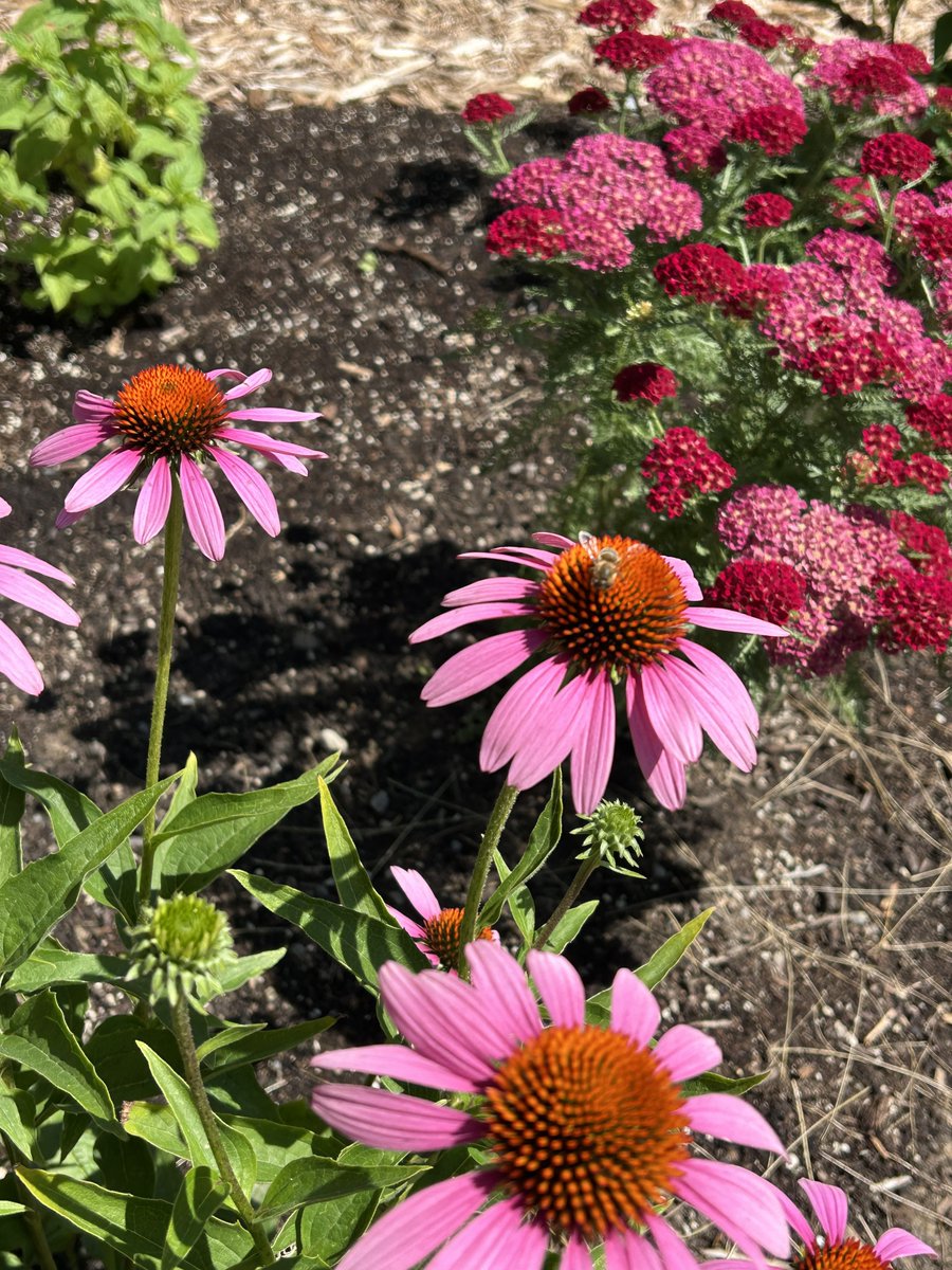 Ever wonder how plants grow? A little bit of sun🌞? Water 💧? A pinch of magic ✨? “Garden Tales” invites young gardeners to explore nature’s stories and secrets on Wednesday, Aug. 20 from 10-11a.m.  Cost $7. For ages 3+.

👉For more information, visit kingheritageandculture.ca.