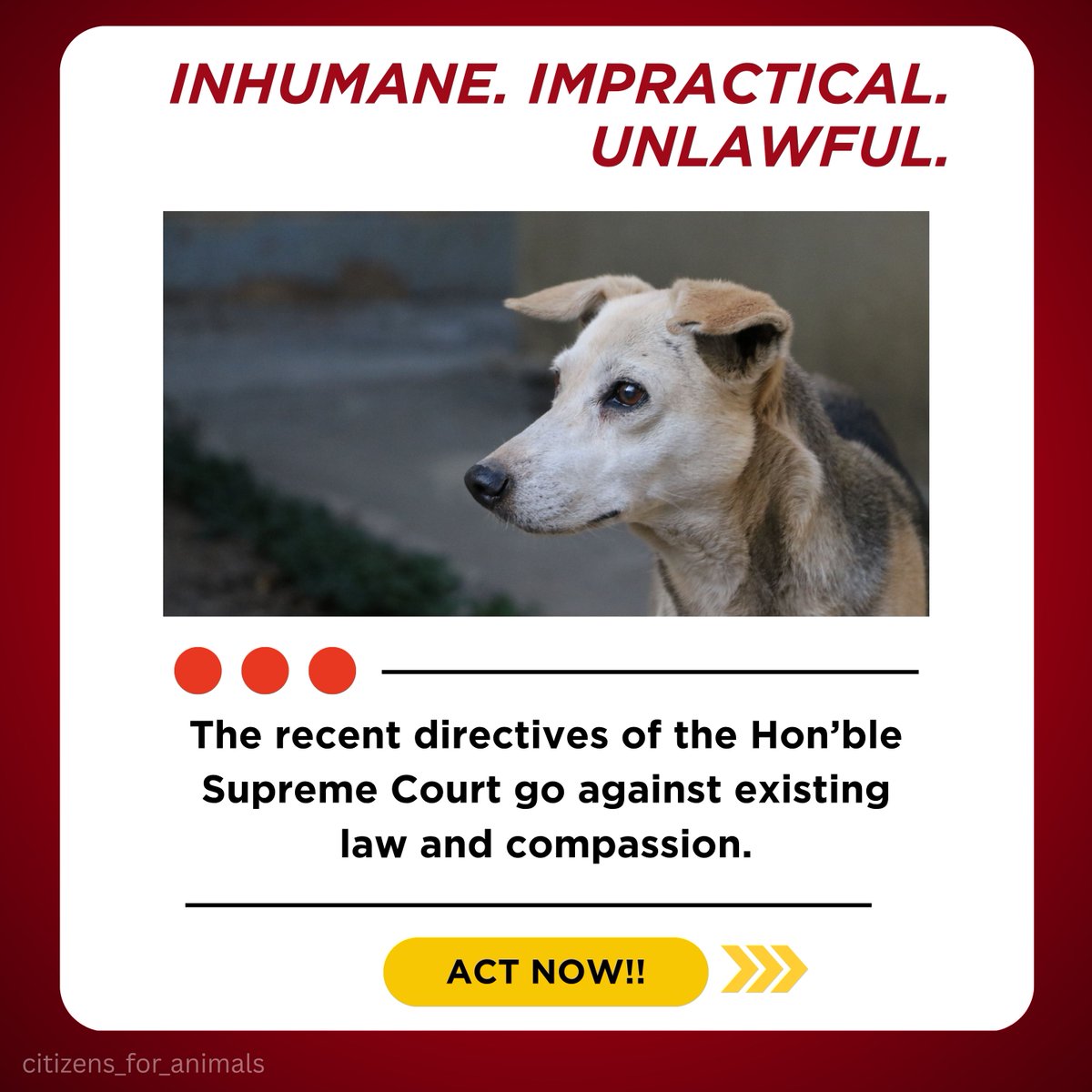 This is INHUMANE!
📢 Your voice matters.
 Email the Hon’ble Supreme Court TODAY and ask them to review and modify their order:
📧 supremecourt@nic.in

💌 If you need ready content for your email, DM us @citizens_for_animals , we’ll share it with you.

instagram.com/p/DNOBlgASZYU/…