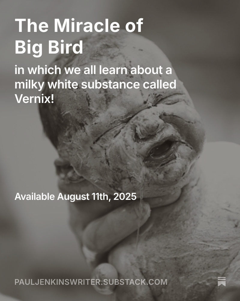 Hello, chums!  As I get the newest series of Flogging a Dead Horse back up to speed, I'll be alternating between new and old posts.  This is from 2006, describing the horror of birthing classes  Go ahead and subscribe. I can make more!

open.substack.com/pub/pauljenkin…