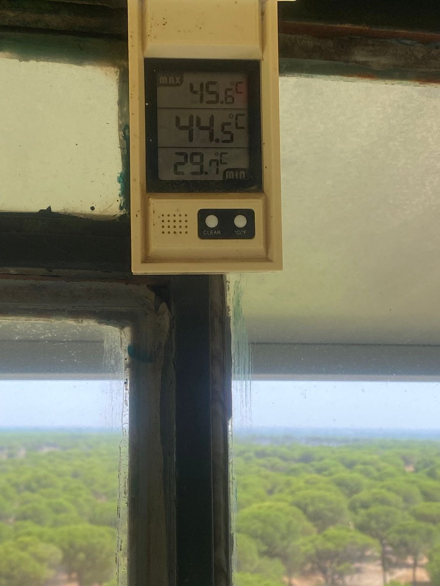 🔥 44,5 °C dentro de la torre (máx. 45,6 °C).
Así trabajan los vigilantes forestales: sueldo mil eurista, sin ventilación, en plena ola de calor.
Cuidar el monte también es cuidar a quienes lo protegen. 🌳
#Infoca  #CondicionesLaboralesDignas
<a href="/antoniosanz/">Antonio Sanz Cabello</a> <a href="/JuanMa_Moreno/">Juanma Moreno</a>
