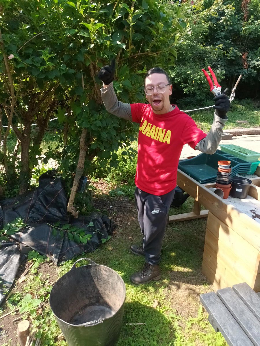 The Secret Garden Project tweet media