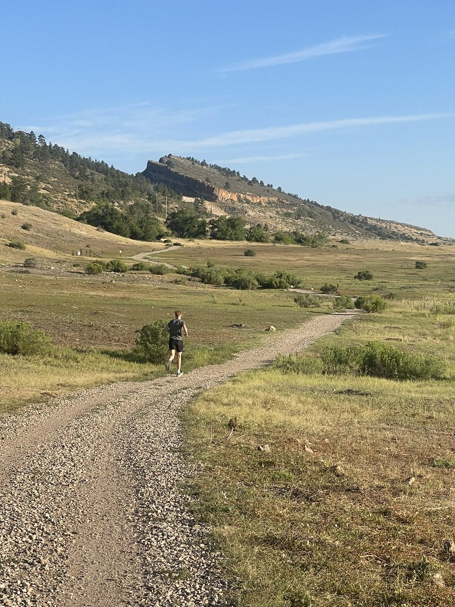 Allison Hardy tweet media