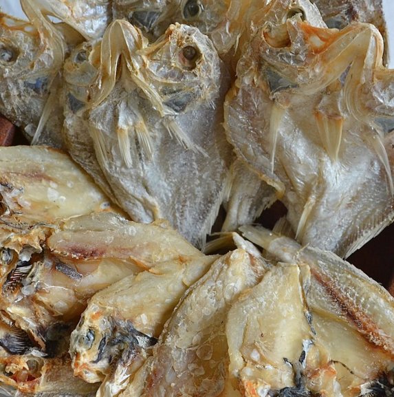 Bumen <a href="/KemenkeuRI/">#UangKita</a> mau di suapin ikan asin...??? 😀😀😀