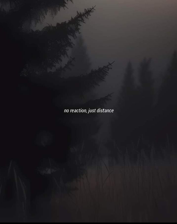 Haram (@haram261509) on Twitter photo 