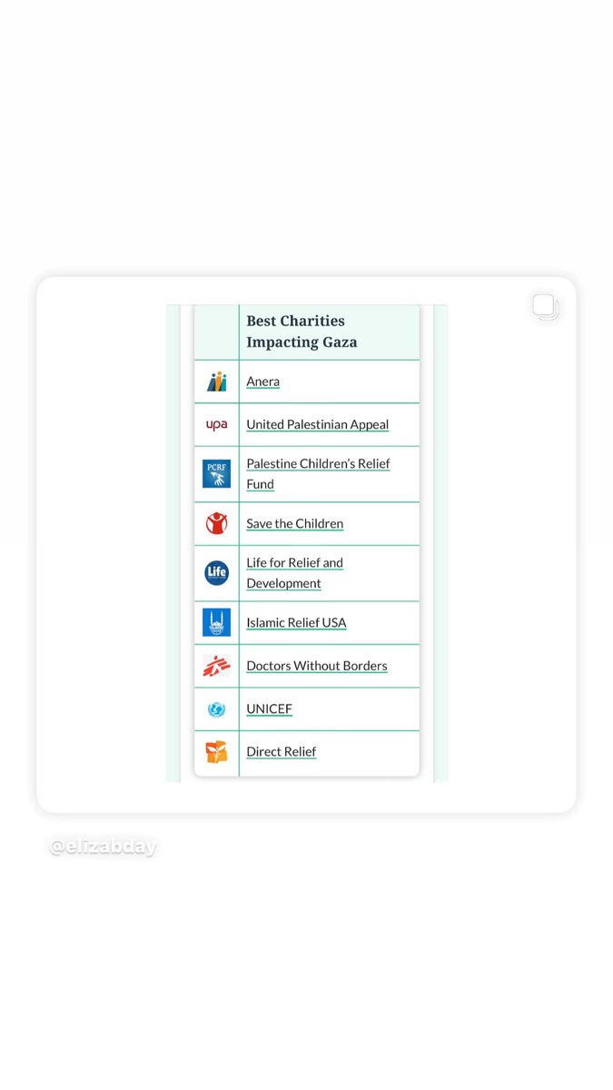 Rachel Brosnahan reposts the list of charities impacting Gaza in IG stories: