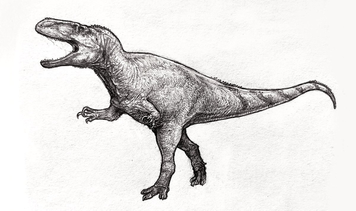 Torvosaurus tanneri