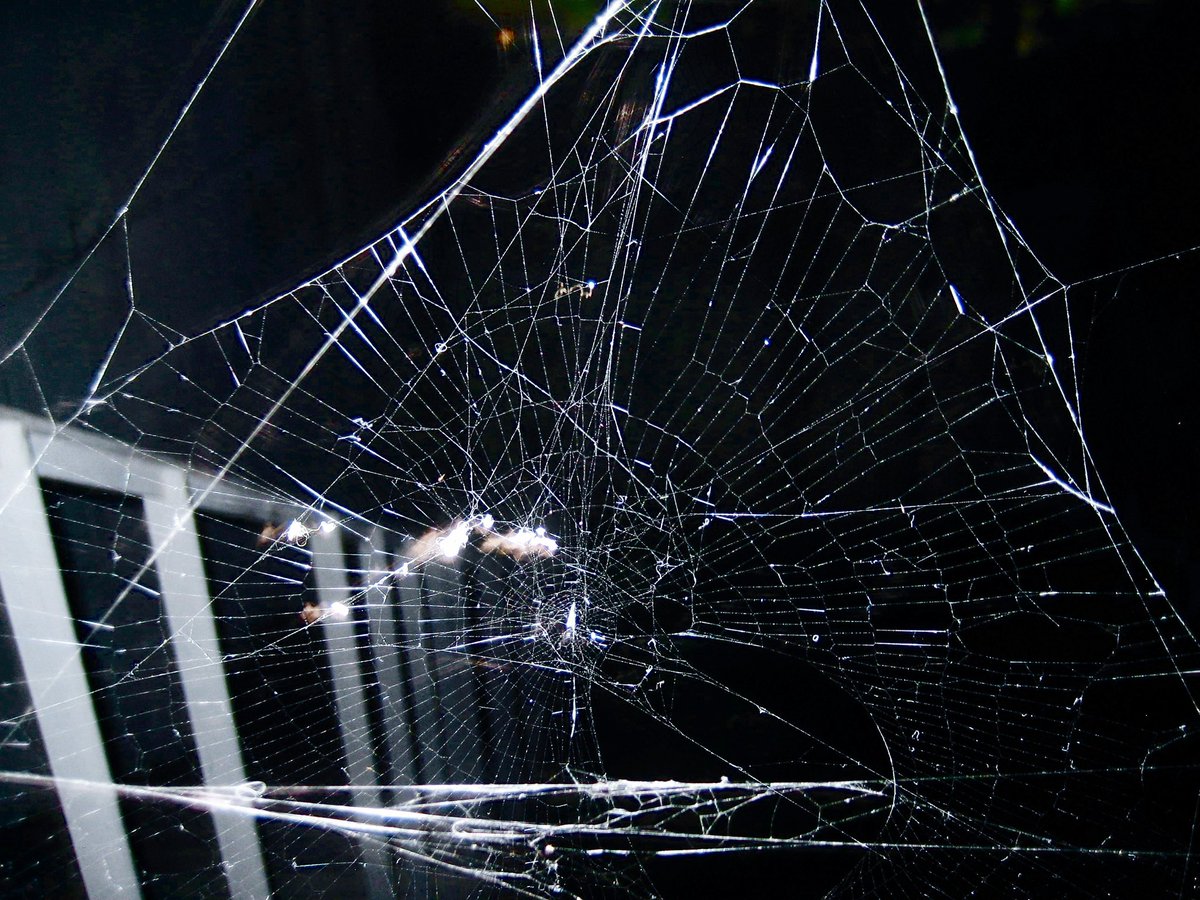 sinidvs's tweet image. 