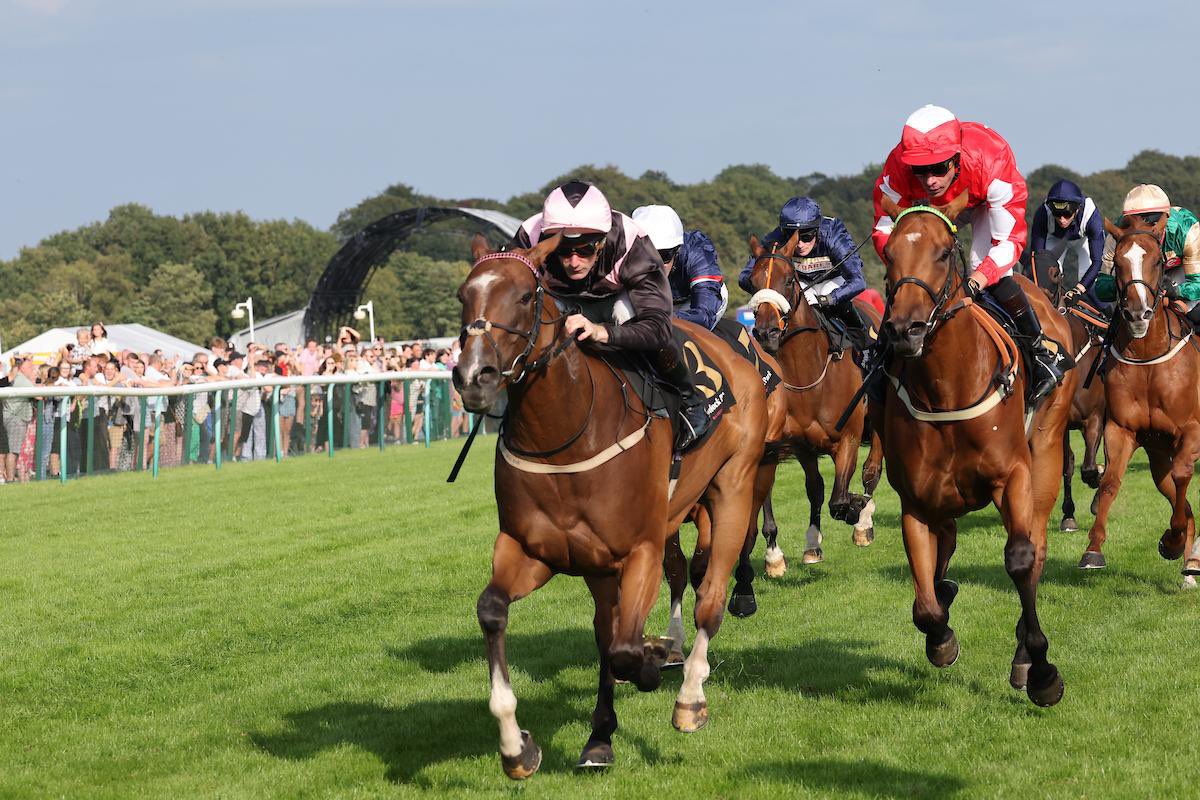 Barton Stud (@bartonstud1) on Twitter photo Mostar Dreams stayed on well to win the Fillies Handicap <a href="/haydockraces/">Haydock Park Races</a> under Paul Mulrennan for Jim Goldie. Sold by Barton at Tattersalls Book 2 Yearling Sale.
Well done to all connections 👏🏼 Mostar Dreams stayed on well to win the Fillies Handicap <a href="/haydockraces/">Haydock Park Races</a> under Paul Mulrennan for Jim Goldie. Sold by Barton at Tattersalls Book 2 Yearling Sale.
Well done to all connections 👏🏼