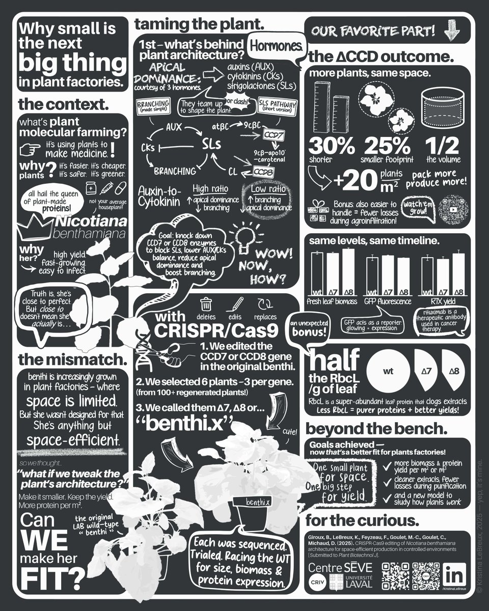 Centre SÈVE tweet media