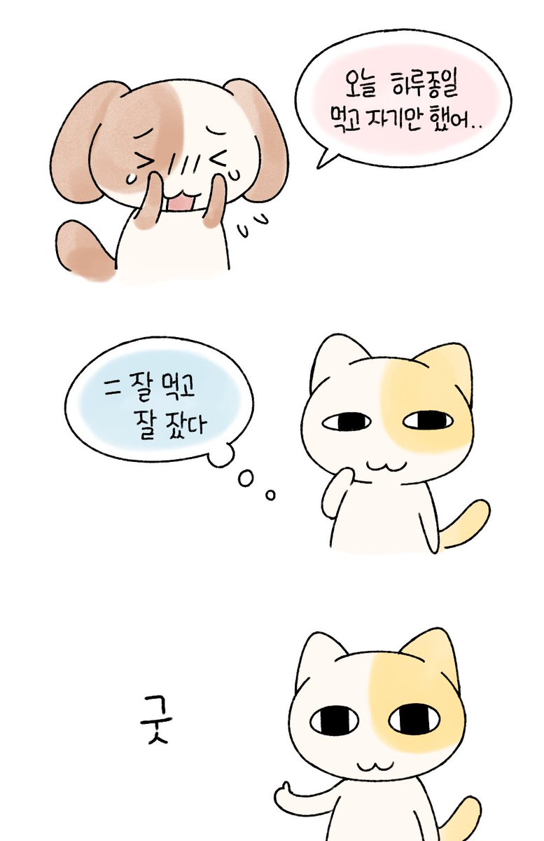 잘 먹고 잘 잤어요