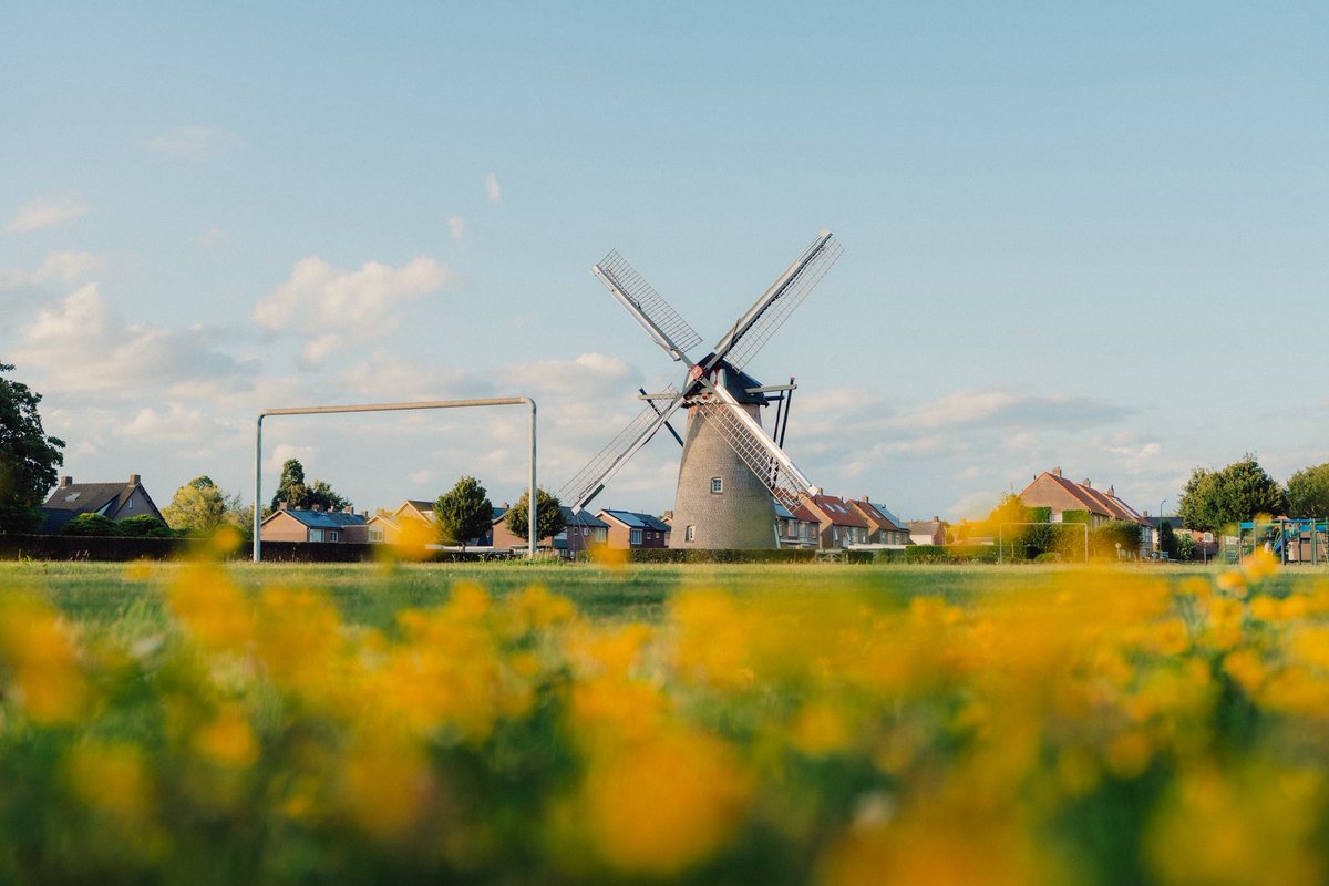 Andrew Stewart tweet media