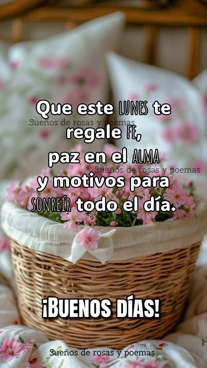 ๐ฉท ๐๐ โ๐ร๐ง๐ผ๐ซ ๐ฉท (@gabyalechavez) on Twitter photo Buenos, bonitos y gorditos, desveladosos, agradecidosos, cafesosos, ajetreadosos, frescosos, pensativosos, nostรกlgicosos, tristosos y guapetosos dรญas, feliz lunes, excelente inicio de semanaโ๐๐ป๐ผ๐ผ๐ซถ๐ป๐๐บโโ๐๐๐๐๐๐ป๐ฐ๐๐๐ผโฐ๐งฟโพ๏ธ๐ฟ๐๐๐โค๐๐๐๐๐ค๐ค๐ฉถ๐ฉต๐ฉทโค๏ธโ๐ฉนโค๏ธโ๐ฅ๐๐๐ฅฐ๐ซ Buenos, bonitos y gorditos, desveladosos, agradecidosos, cafesosos, ajetreadosos, frescosos, pensativosos, nostรกlgicosos, tristosos y guapetosos dรญas, feliz lunes, excelente inicio de semanaโ๐๐ป๐ผ๐ผ๐ซถ๐ป๐๐บโโ๐๐๐๐๐๐ป๐ฐ๐๐๐ผโฐ๐งฟโพ๏ธ๐ฟ๐๐๐โค๐๐๐๐๐ค๐ค๐ฉถ๐ฉต๐ฉทโค๏ธโ๐ฉนโค๏ธโ๐ฅ๐๐๐ฅฐ๐ซ
