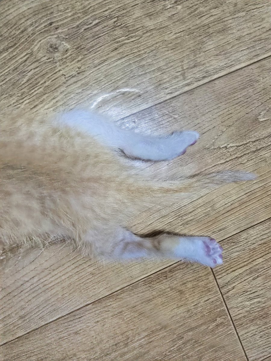 ㅋㅋㅋㅋㅋㅋㅋㅋ