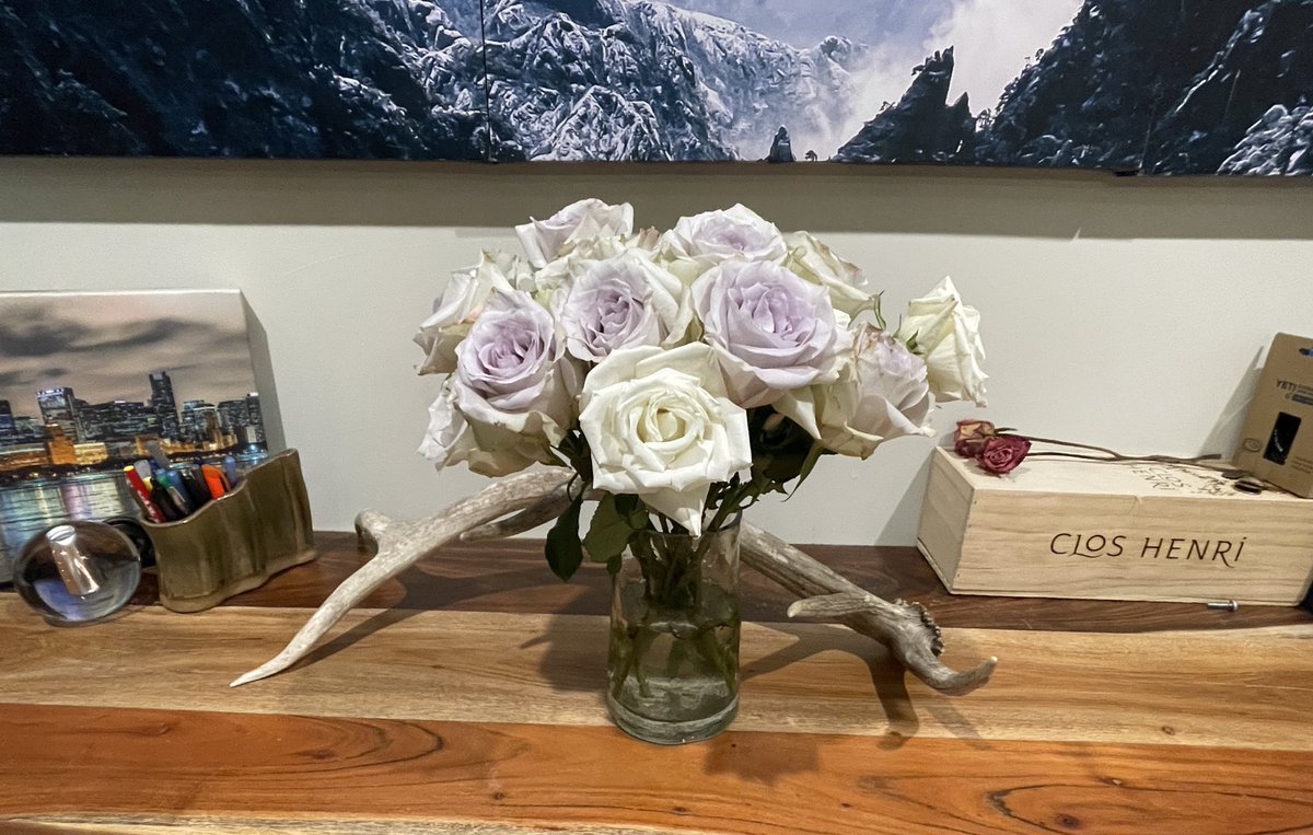 turnJBuppp's tweet photo. Purple roses till kickoff #letsgofrogs https://t.co/MjH5arKtSA