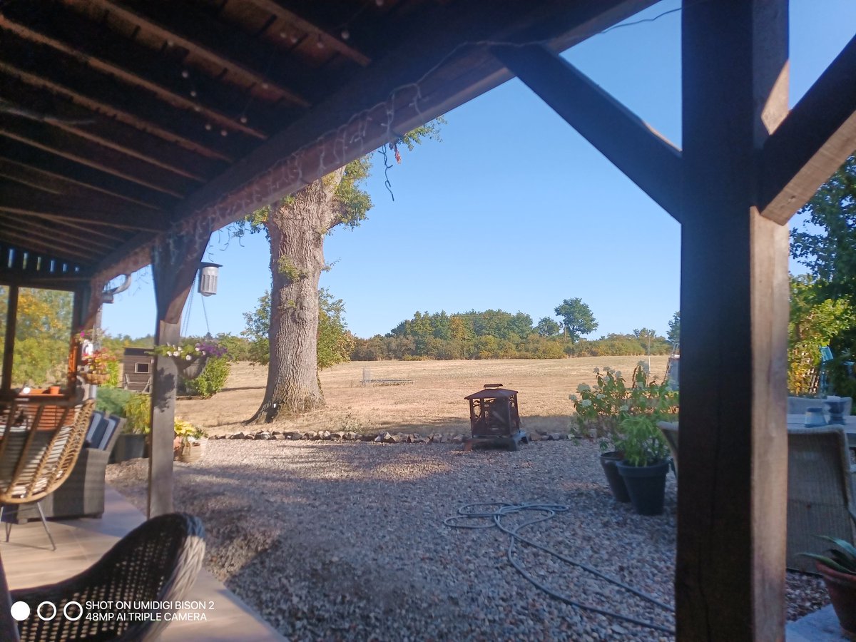 Strakblauwe lucht, windstil en 38°.
En niks geen hitteprotocol,  gewoon rustig aan en genieten van een hele mooie zomer.