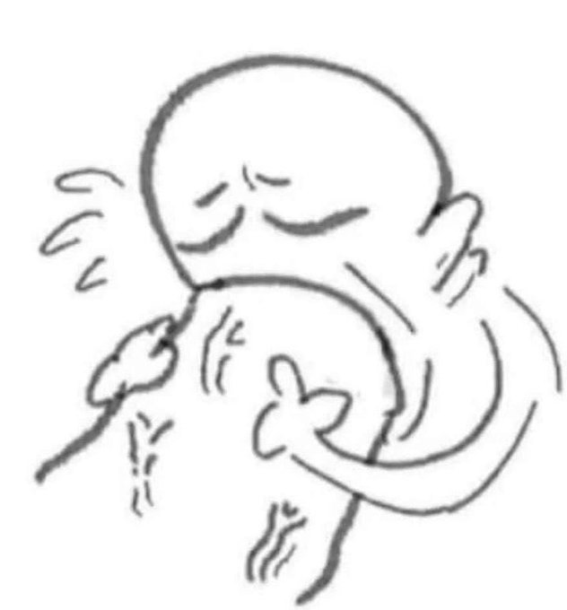 Watch Yumprincess 💜👑 VA | VTUBER's leaked NSFW photo on TwXstars