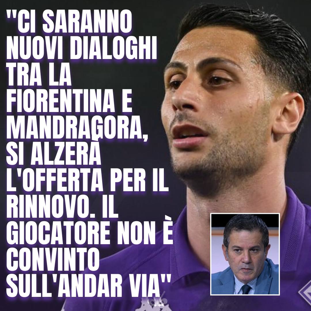 PassioneFiorent's tweet image. 🟣 Entro una settimana verrà risolta la questione #Mandragora, o in un senso, o nell'altro ⚠️