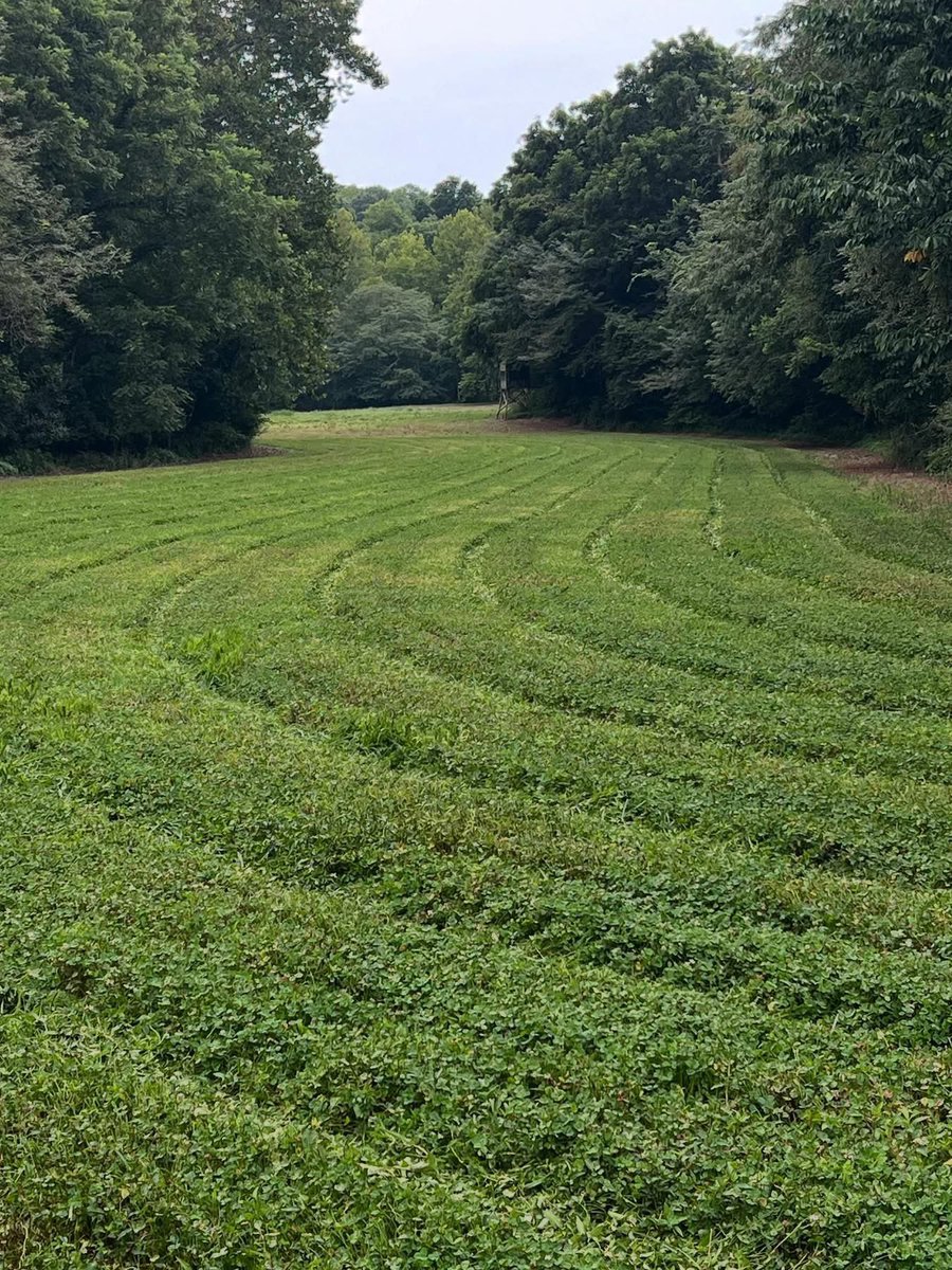 🦌 Buck Chasers 🦌 tweet media