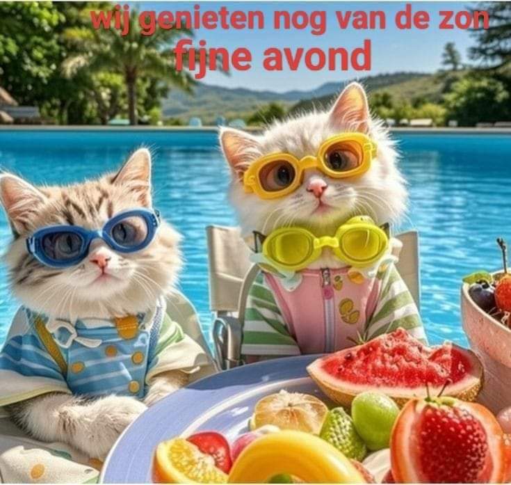 🐍Cobra_NL🏍 tweet media