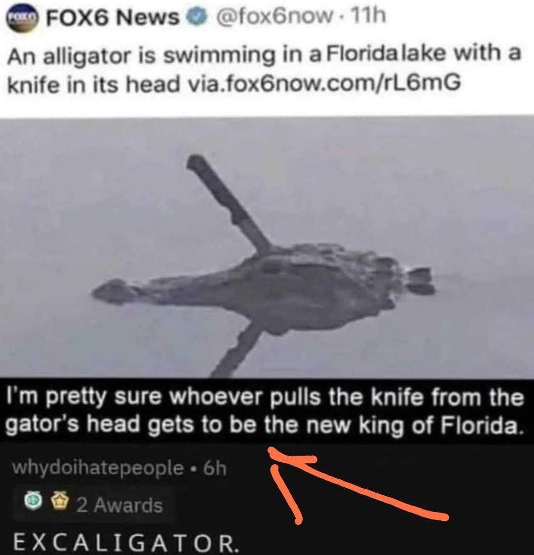 floridamancomic's tweet photo. Your terms are acceptable… stay tuned https://t.co/YCMzfSDKuL