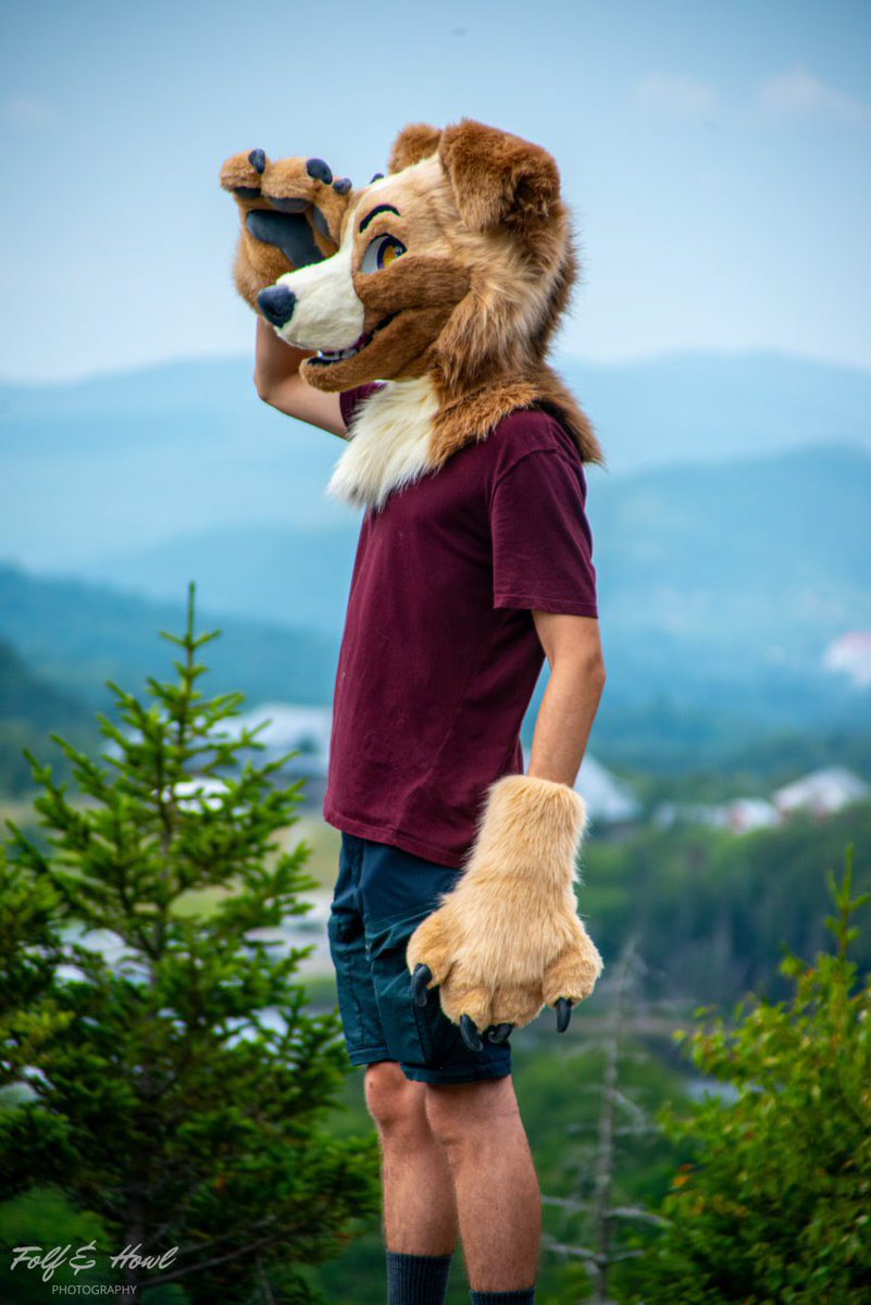 Looking and Barking!